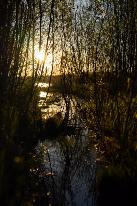 Beautiful morning photo